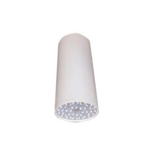 ĐÈN LED CHIẾU SÂU GẮN NỔI TRANG TRÍ 3W (DIB2033)