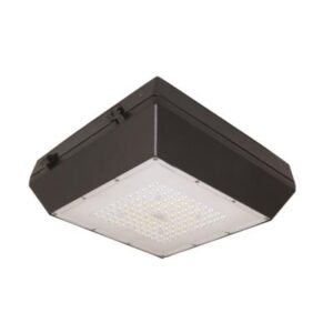 Đèn Pha Led Ốp Trần 80W (DRG0801)